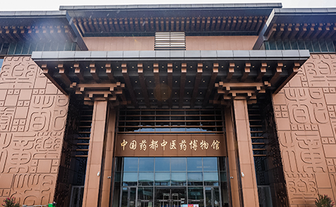 数字化博物馆设计中会采用哪些多媒体